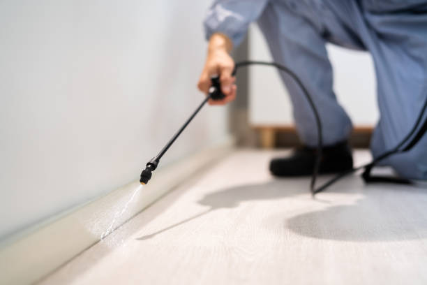 Licensed Rodent Control service in South Portland, ME - Nex Pest Control