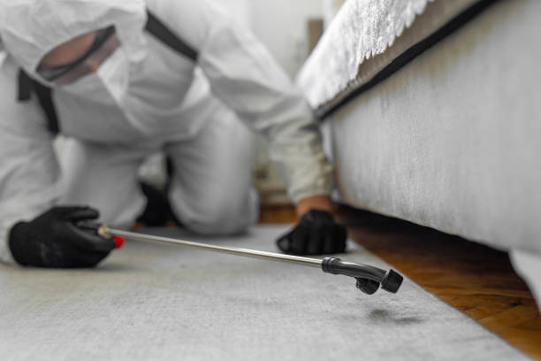 Professional Rodent Control technician working in South Portland, ME