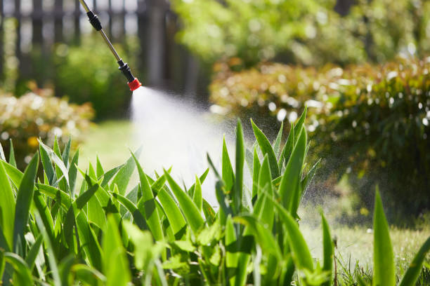 24/7 Emergency Rodent Control experts in South Portland, ME