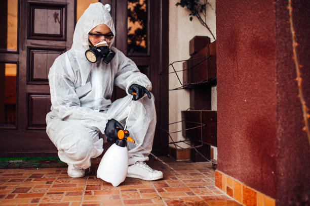 Reliable Rodent Control contractor in South Portland, ME by Nex Pest Control